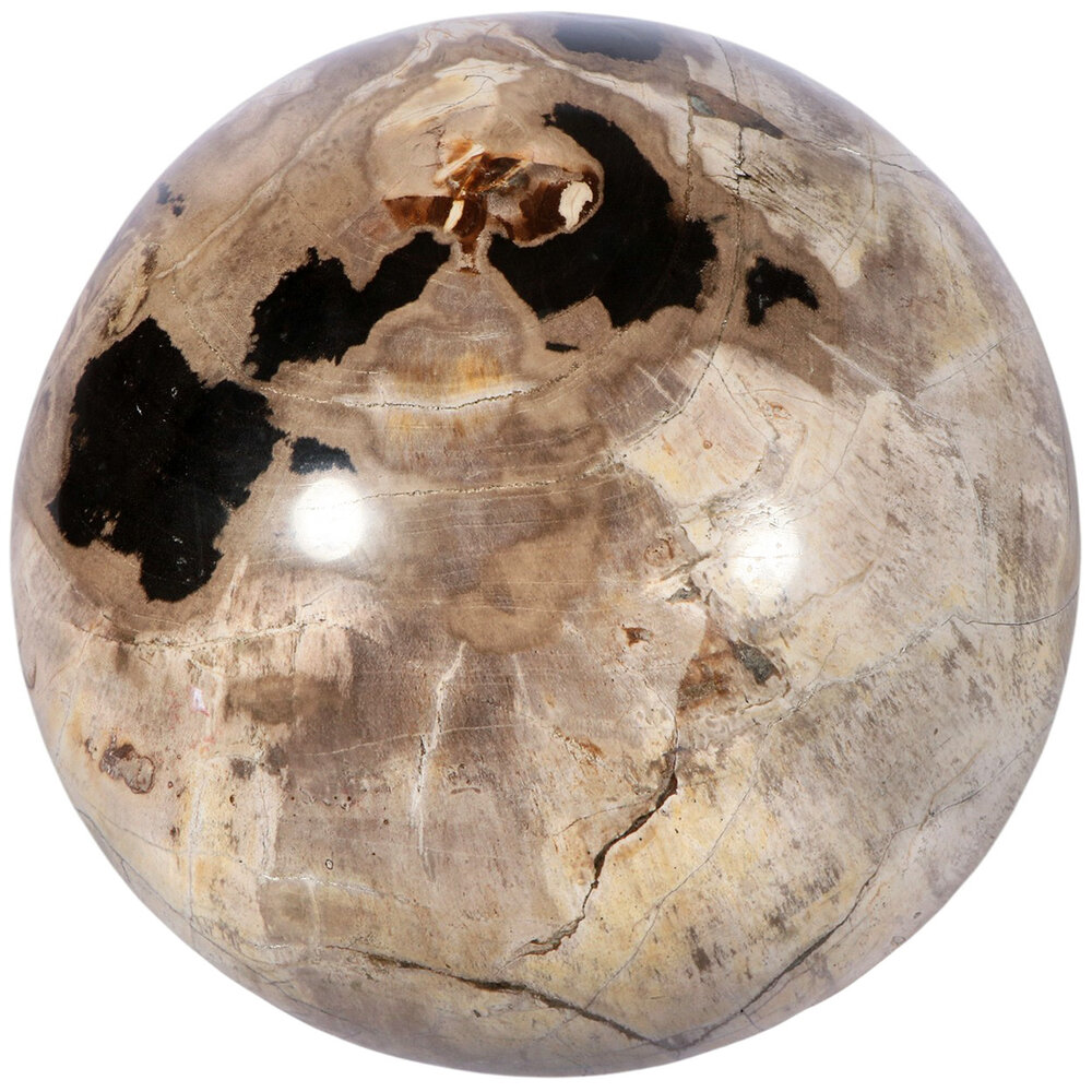 Versteend hout bol 145 mm | 5,3 kg Versteend hout bol 145 mm | 5,3 kg