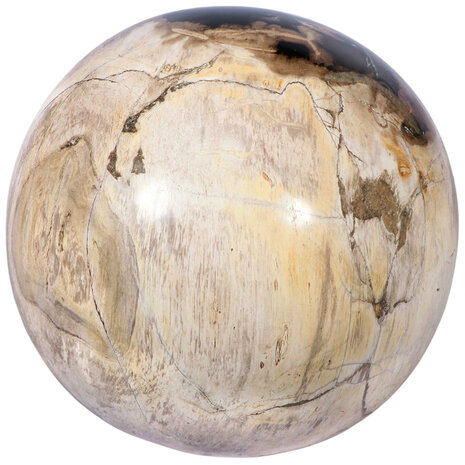 Versteend hout bol 145 mm | 5,3 kg Versteend hout bol 145 mm | 5,3 kg
