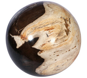 Versteend hout bol 180 mm | 9,03 kg Versteend hout bol 180 mm | 9,03 kg