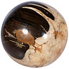 Versteend hout bol 180 mm | 9,03 kg Versteend hout bol 180 mm | 9,03 kg