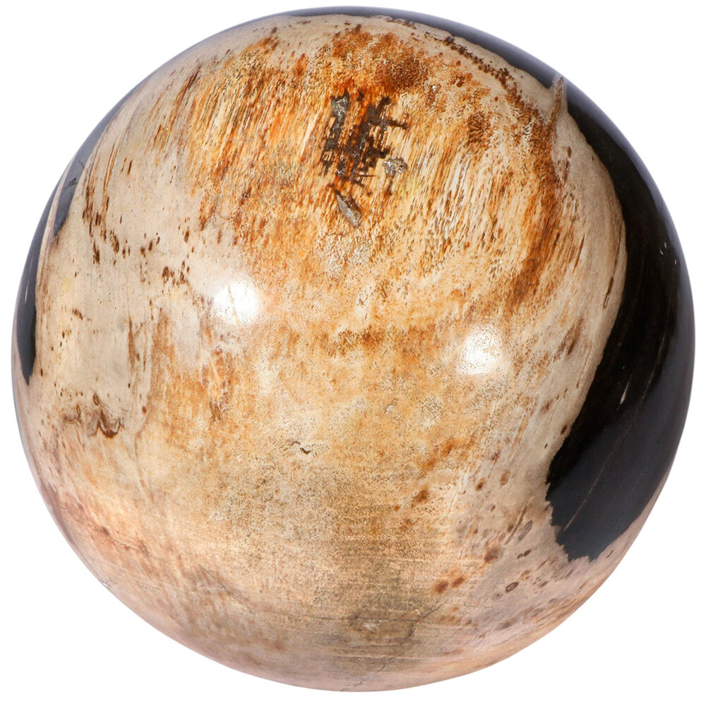 Versteend hout bol 180 mm | 9,03 kg Versteend hout bol 180 mm | 9,03 kg