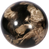 Versteend hout bol 145 mm | 7 kg