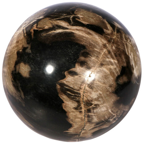Versteend hout bol 145 mm | 7 kg Versteend hout bol 145 mm | 7 kg