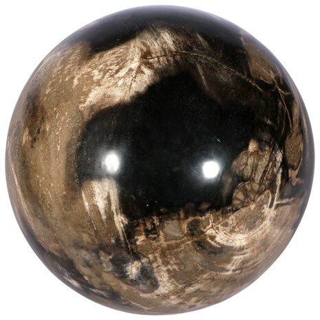 Versteend hout bol 145 mm | 7 kg Versteend hout bol 145 mm | 7 kg