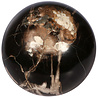 Versteend hout bol 170 mm | 7,9 kg Versteend hout bol 170 mm | 7,9 kg