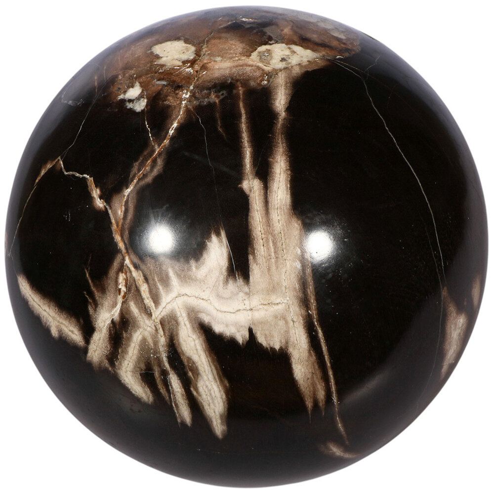 Versteend hout bol 170 mm | 7,9 kg Versteend hout bol 170 mm | 7,9 kg