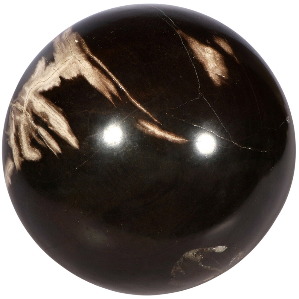Versteend hout bol 170 mm | 7,9 kg Versteend hout bol 170 mm | 7,9 kg