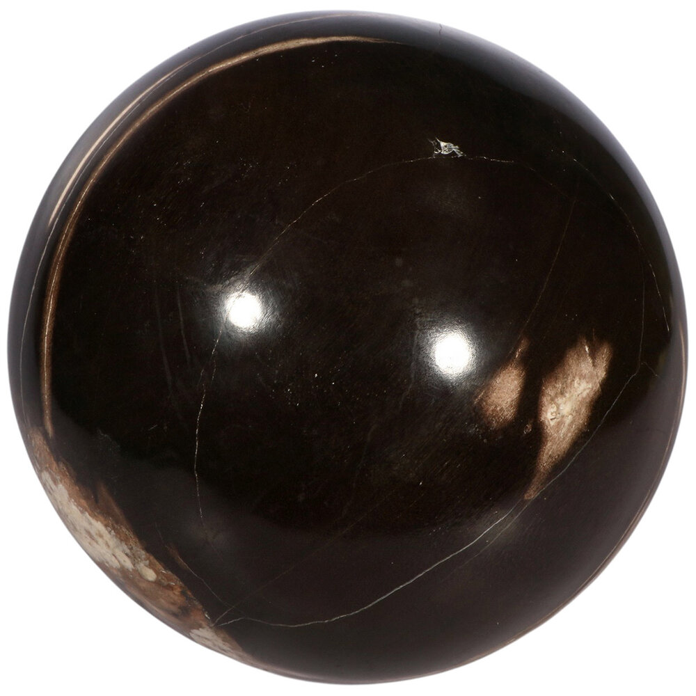Versteend hout bol 170 mm | 7,9 kg Versteend hout bol 170 mm | 7,9 kg