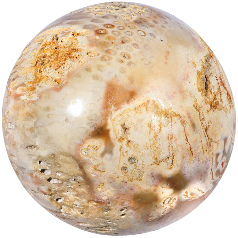 Versteend koraal bol 150 mm | 4379 gram Versteend koraal bol 150 mm | 4379 gram
