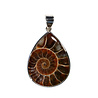 Zilveren hanger ammoniet fossiel | druppel 3,3 x 2,5 cm