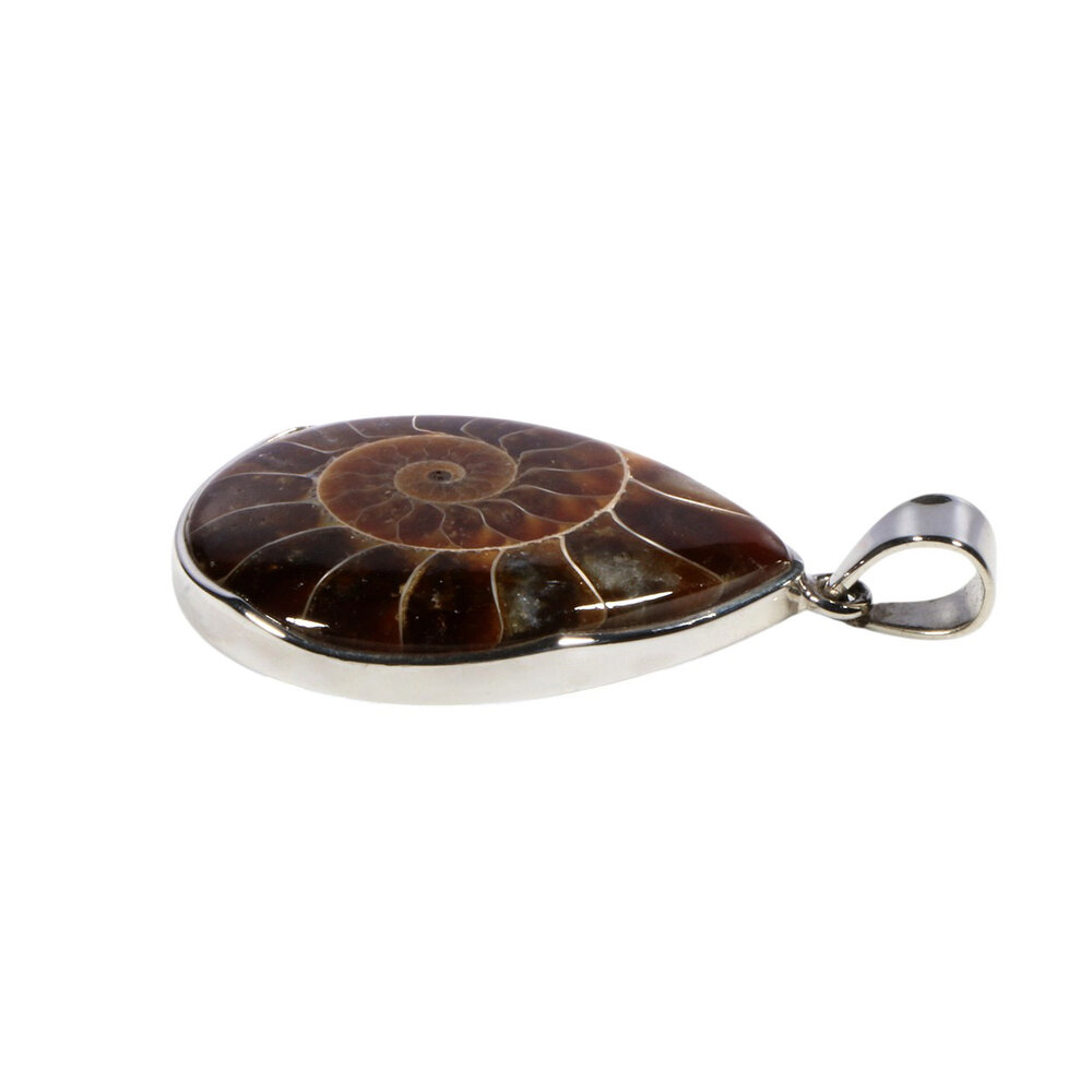 Zilveren hanger ammoniet fossiel | druppel 3,3 x 2,5 cm