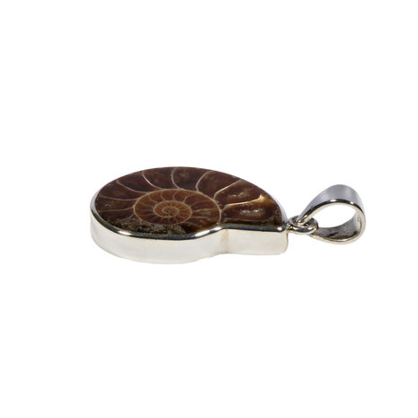 Zilveren hanger ammoniet fossiel | 2,6 x 1,9 cm Zilveren hanger ammoniet fossiel | 2,6 x 1,9 cm