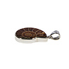 Zilveren hanger ammoniet fossiel | 2,6 x 1,9 cm Zilveren hanger ammoniet fossiel | 2,6 x 1,9 cm