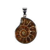 Zilveren hanger ammoniet fossiel | 2,9 x 2,4 cm Zilveren hanger ammoniet fossiel | 2,9 x 2,4 cm