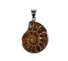 Zilveren hanger ammoniet fossiel | 2,9 x 2,4 cm