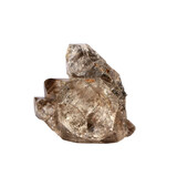 Rookkwarts Herkimer diamant cluster A-kwaliteit 5,8 x 4,3 x 4,1 cm | 90 gram Rookkwarts Herkimer diamant cluster A-kwaliteit 5,8 x 4,3 x 4,1 cm | 90 gram