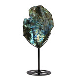 Labradoriet schijf gepolijst op standaard 16,5 x 12,3 x 1,5 cm | 788 gram Labradoriet schijf gepolijst op standaard 16,5 x 12,3 x 1,5 cm | 788 gram