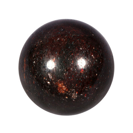 Muscoviet (rood) 50 - 55 mm Muscoviet (rood) 50 - 55 mm
