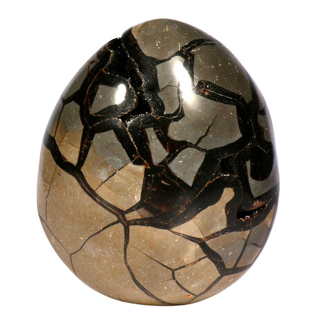 Septarie edelsteen ei A-kwaliteit 21,5 x 15 x 14 cm | 4980 gram Septarie edelsteen ei A-kwaliteit 21,5 x 15 x 14 cm | 4980 gram