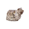 Herkimer diamant A-kwaliteit cluster 5,8 x 3,5 x 2,1 cm | 49 gram Herkimer diamant A-kwaliteit cluster 5,8 x 3,5 x 2,1 cm | 49 gram