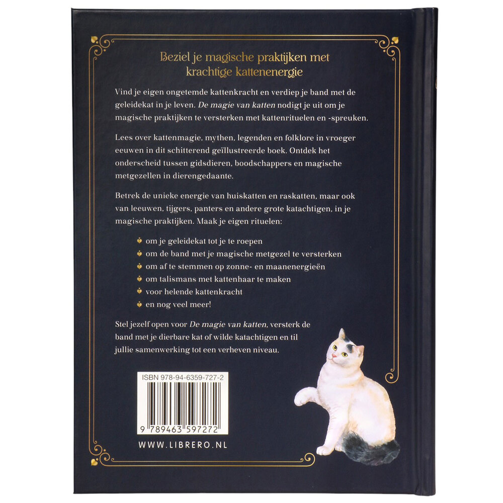 De magie van katten