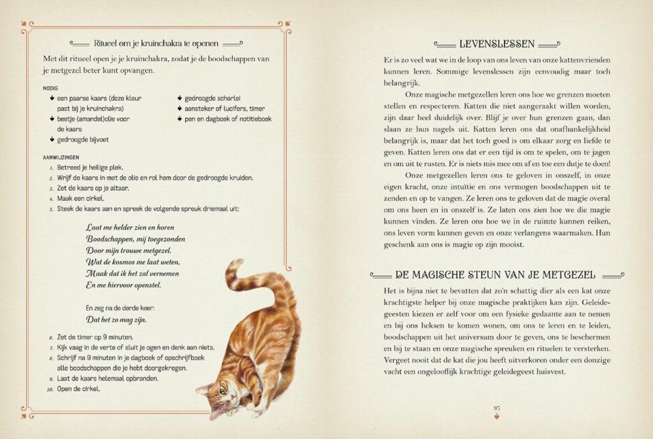 De magie van katten