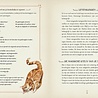 De magie van katten