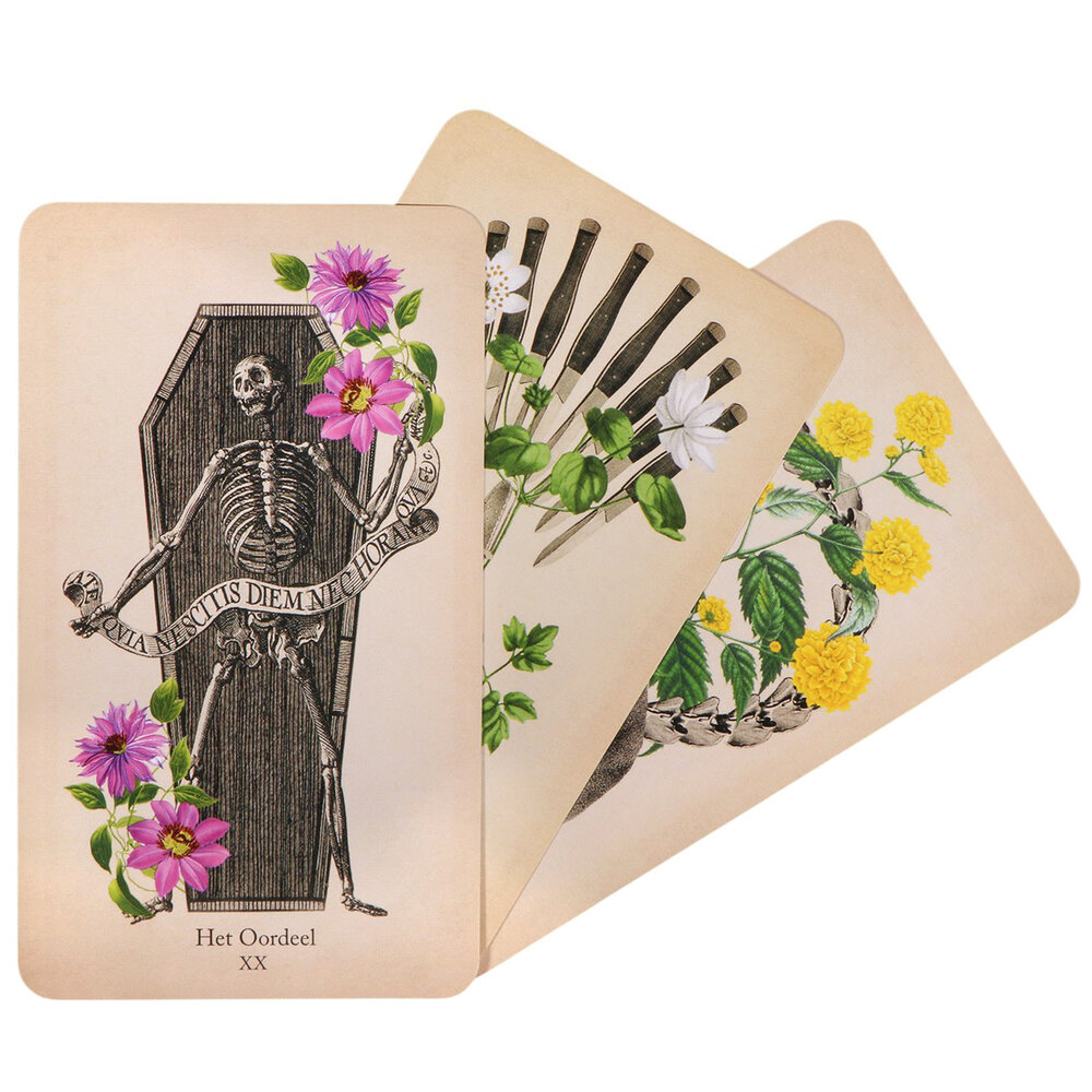 Klassieke anatomie tarot | 78 kaarten met boek Klassieke anatomie tarot | 78 kaarten met boek