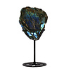 Labradoriet schijf gepolijst op standaard 13,4 x 19 x 2,1 cm | 986 gram Labradoriet schijf gepolijst op standaard 13,4 x 19 x 2,1 cm | 986 gram