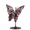 Amethist (chevron) vlinder op zwarte standaard Amethist (chevron) vlinder op zwarte standaard