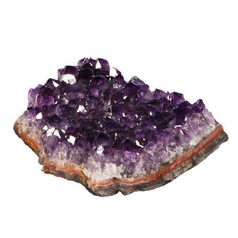 Amethist A-kwaliteit cluster 3,9 x 12,5 x 8,7 cm | 503 gram Amethist A-kwaliteit cluster 3,9 x 12,5 x 8,7 cm | 503 gram
