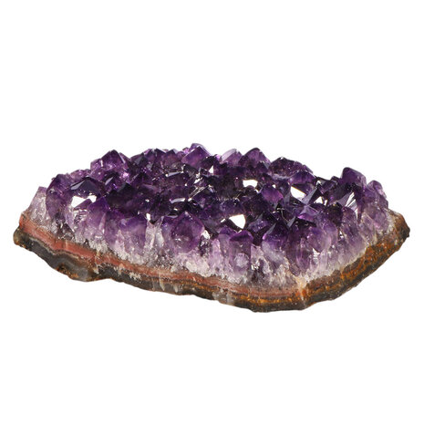 Amethist A-kwaliteit cluster 3,9 x 12,5 x 8,7 cm | 503 gram Amethist A-kwaliteit cluster 3,9 x 12,5 x 8,7 cm | 503 gram