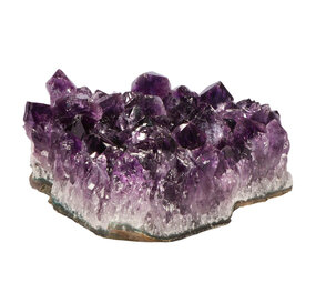 Amethist A-kwaliteit cluster 6,5 x 13,1 x 10,3 cm | 757 gram Amethist A-kwaliteit cluster 6,5 x 13,1 x 10,3 cm | 757 gram