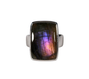 Zilveren ring labradoriet maat 19 1/2 | rechthoek 2,3 x 1,5 cm