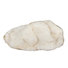 Fenakiet ruw 7,3 x 4,4 x 3,5 cm | 159 gram Fenakiet ruw 7,3 x 4,4 x 3,5 cm | 159 gram
