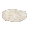 Fenakiet ruw 7,3 x 4,4 x 3,5 cm | 159 gram Fenakiet ruw 7,3 x 4,4 x 3,5 cm | 159 gram