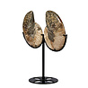 Ammoniet fossiel paar  op standaard 12,5  x 10,3 x 1,5 cm | 709 gram