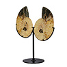 Ammoniet fossiel paar op standaard 13,8 x 11 x 1,9 cm | 882 gram Ammoniet fossiel paar op standaard 13,8 x 11 x 1,9 cm | 882 gram