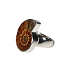 Zilveren ring ammoniet fossiel maat 17 | 2,2 x 1,7 cm Zilveren ring ammoniet fossiel maat 17 | 2,2 x 1,7 cm