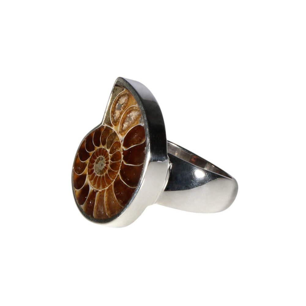 Zilveren ring ammoniet fossiel maat 17 1/2 | 2,3 x 1,8 cm Zilveren ring ammoniet fossiel maat 17 1/2 | 2,3 x 1,8 cm