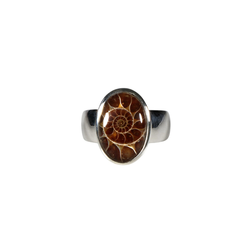 Zilveren ring ammoniet maat 17 | ovaal 1,4 x 1 cm Zilveren ring ammoniet maat 17 | ovaal 1,4 x 1 cm