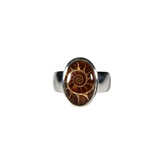 Zilveren ring ammoniet maat 17 | ovaal 1,4 x 1 cm Zilveren ring ammoniet maat 17 | ovaal 1,4 x 1 cm