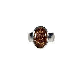 Zilveren ring ammoniet maat 17 | ovaal 1,4 x 1 cm Zilveren ring ammoniet maat 17 | ovaal 1,4 x 1 cm