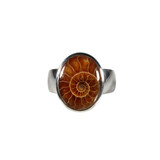 Zilveren ring ammoniet maat 17 | ovaal 1,6 x 1,3 cm Zilveren ring ammoniet maat 17 | ovaal 1,6 x 1,3 cm