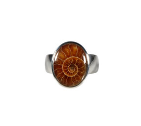 Zilveren ring ammoniet maat 17 | ovaal 1,6 x 1,3 cm Zilveren ring ammoniet maat 17 | ovaal 1,6 x 1,3 cm