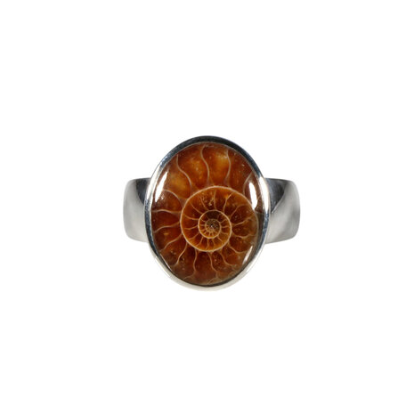 Zilveren ring ammoniet maat 17 | ovaal 1,6 x 1,3 cm Zilveren ring ammoniet maat 17 | ovaal 1,6 x 1,3 cm