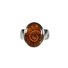 Zilveren ring ammoniet maat 17 | ovaal 1,6 x 1,3 cm Zilveren ring ammoniet maat 17 | ovaal 1,6 x 1,3 cm