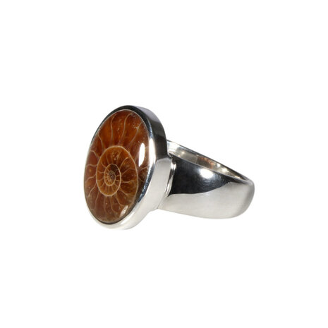 Zilveren ring ammoniet maat 17 | ovaal 1,6 x 1,3 cm Zilveren ring ammoniet maat 17 | ovaal 1,6 x 1,3 cm