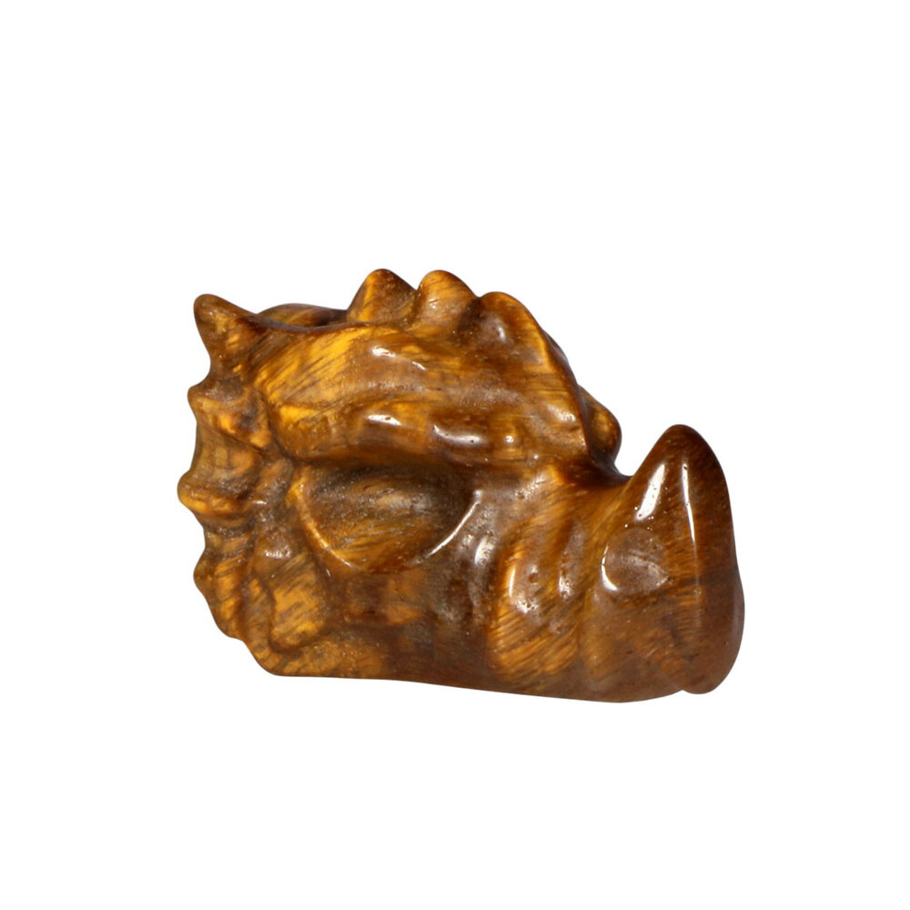 Tijgeroog draken schedeltje