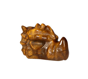 Tijgeroog draken schedeltje